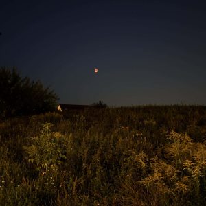 Mond über einer Wiese bei Nacht, klarer Himmel mit Sternen.