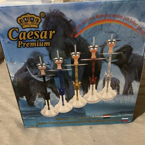 Caesar Premium Shisha mit Glasbowl und Zubehör.