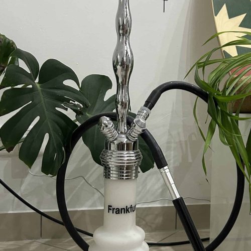 Shisha mit Glas- und Metallteilen, inklusive Schlauch und Kopf, auf Boden vor Pflanzen.